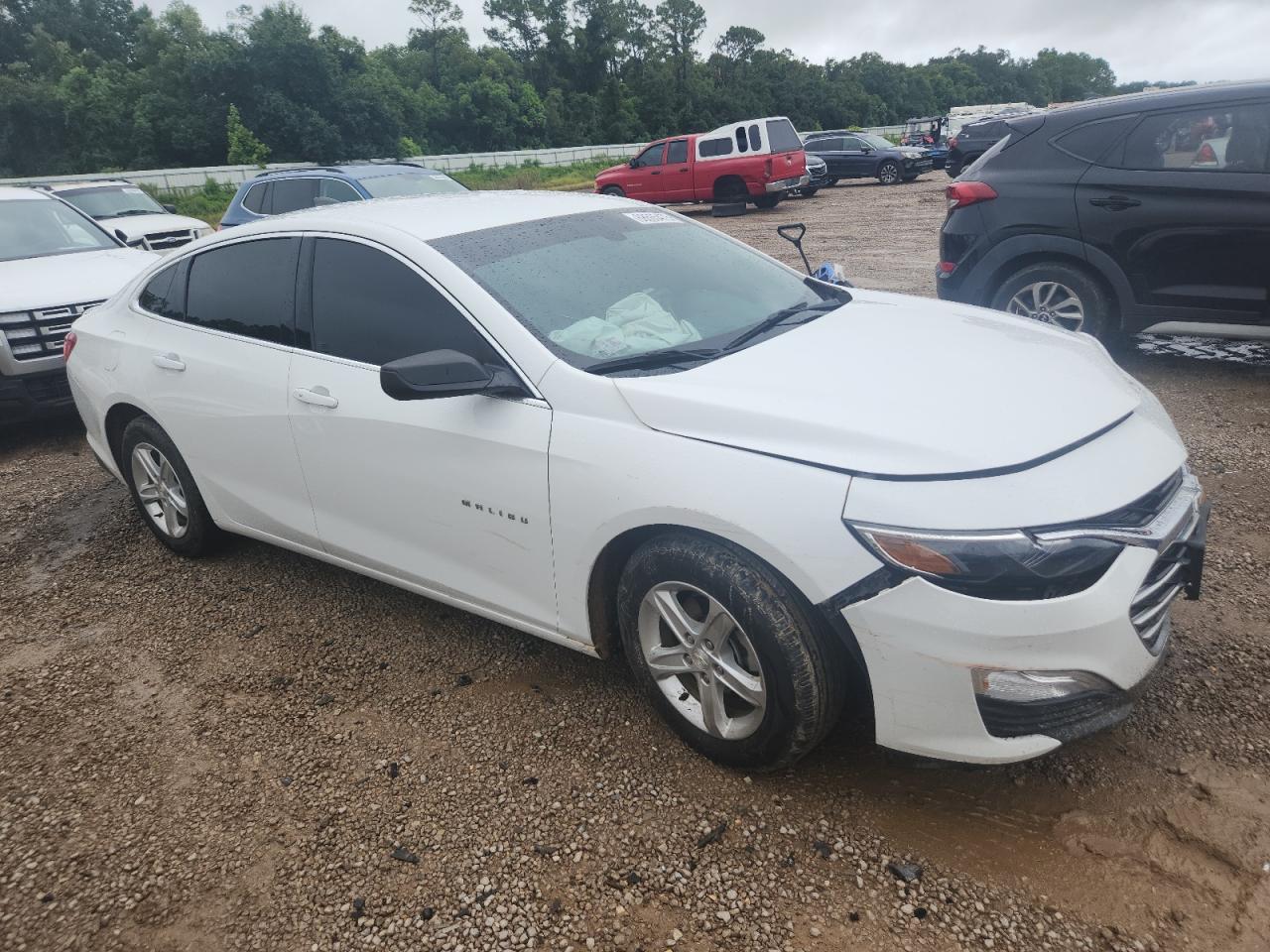 2019 CHEVROLET MALIBU
