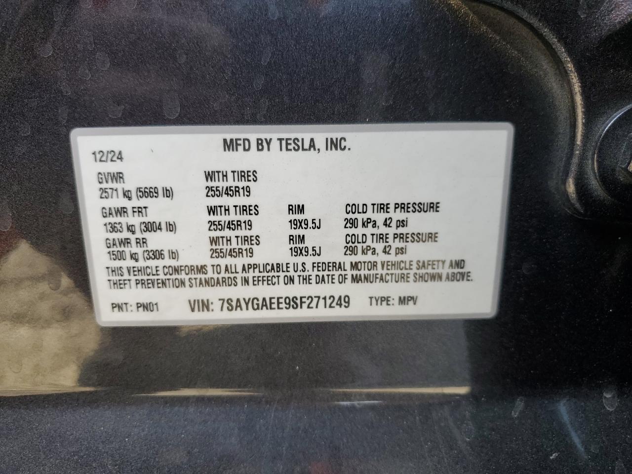 2025 TESLA MODEL Y