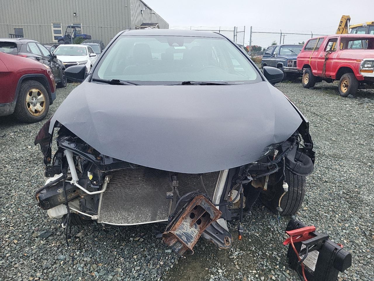 2019 TOYOTA COROLLA