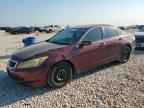 2010 HONDA ACCORD