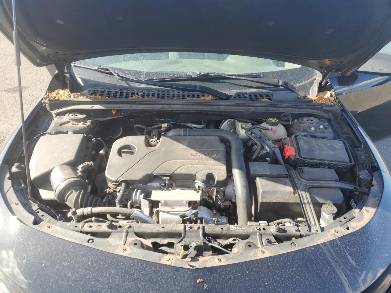 2019 CHEVROLET MALIBU