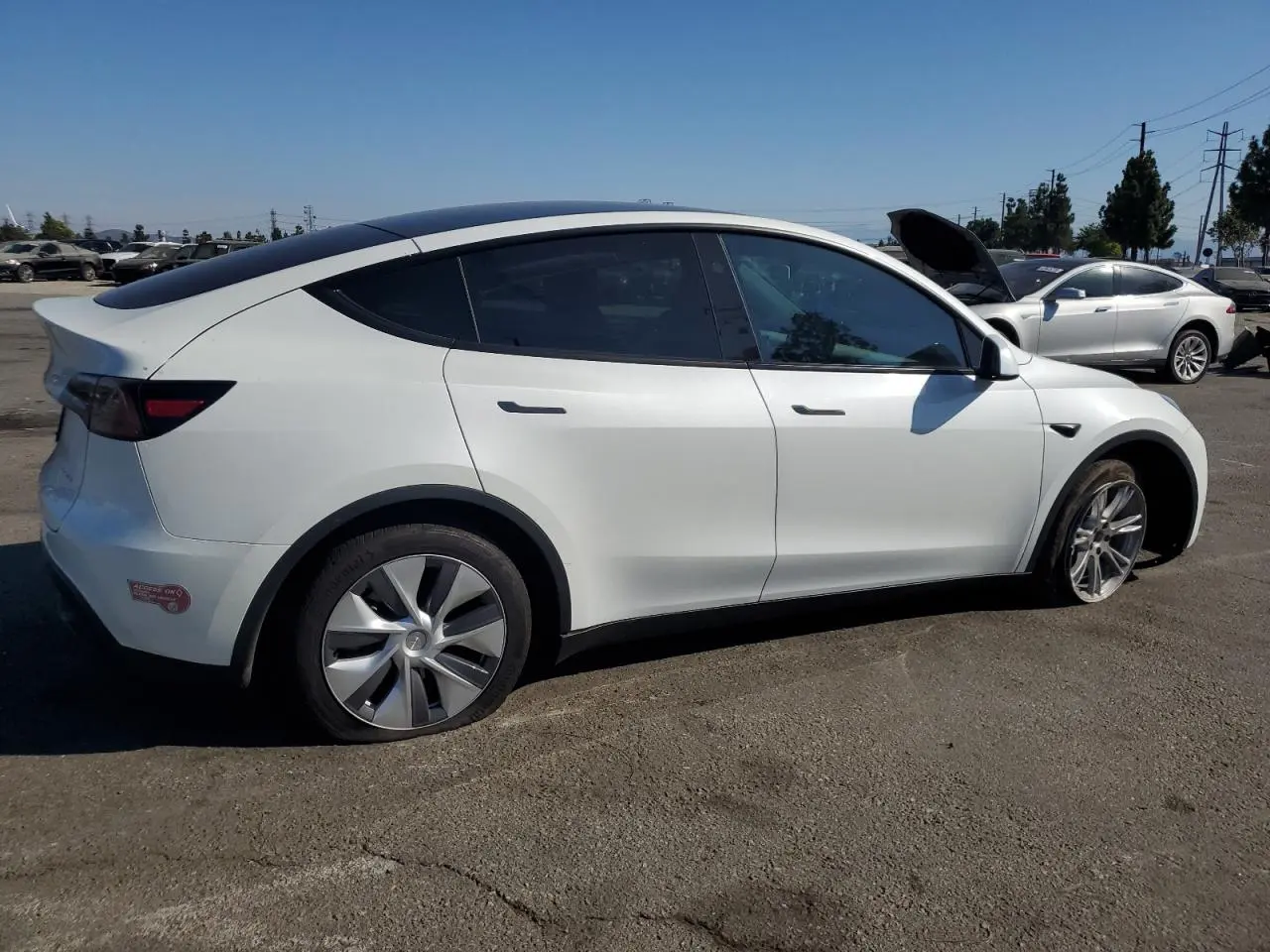2024 TESLA MODEL Y