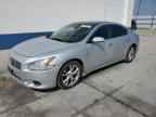 2013 NISSAN Maxima