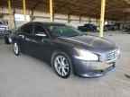2013 NISSAN Maxima