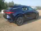 2023 LEXUS RX 350H
