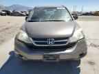 2010 HONDA CR-V