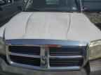 2006 DODGE Dakota
