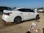 2020 NISSAN Maxima