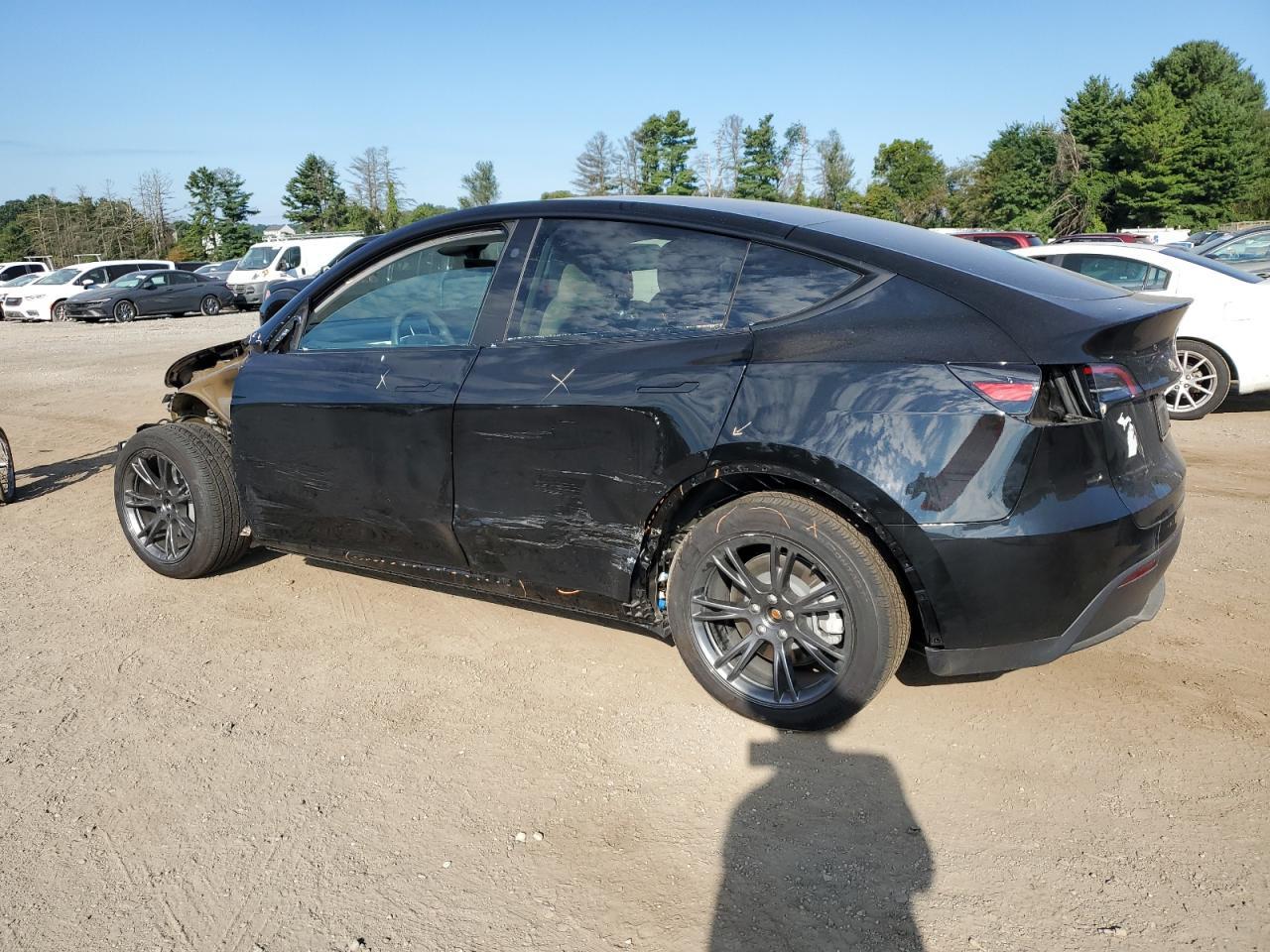 2025 TESLA MODEL Y
