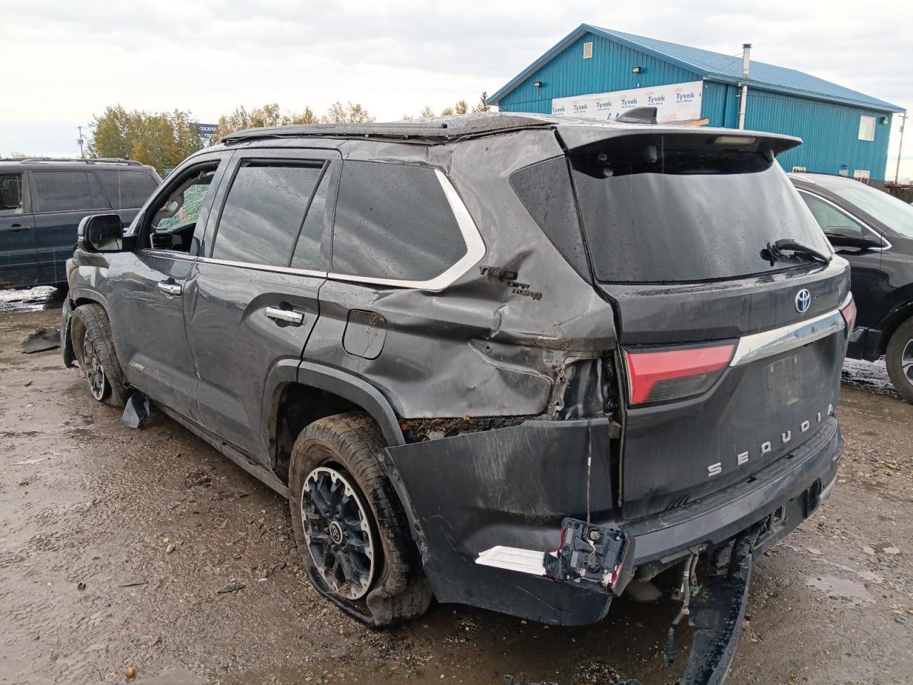 2023 TOYOTA Sequoia