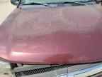 2005 CHEVROLET Trailblazer