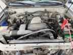2002 TOYOTA Sequoia