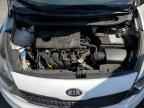 2017 KIA RIO