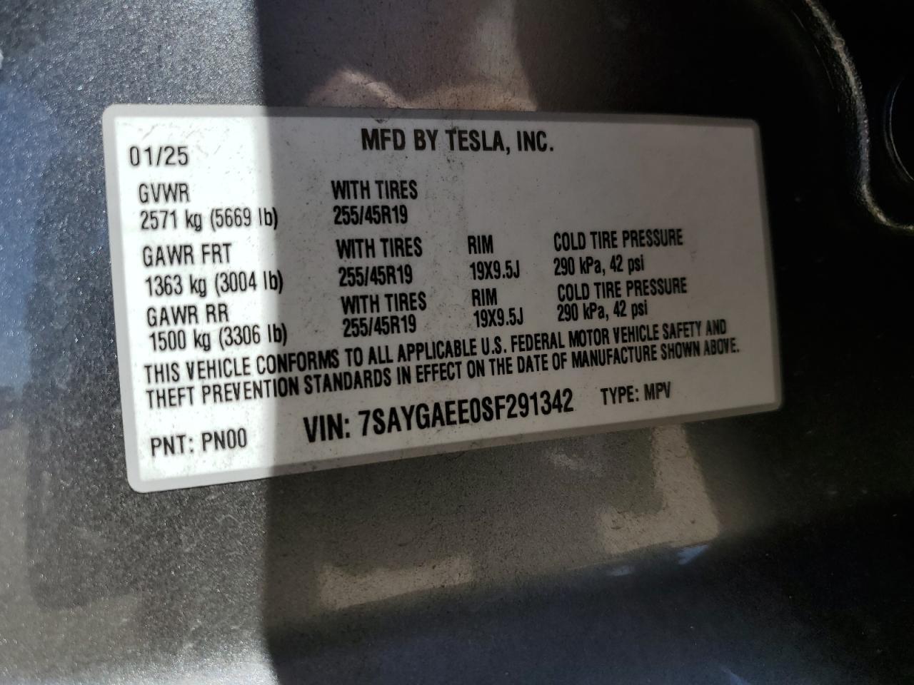 2025 TESLA MODEL Y