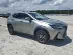 2023 LEXUS NX 350