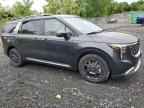 2025 KIA Carnival