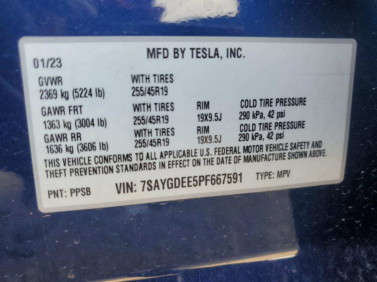 2023 TESLA MODEL Y