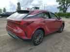 2025 LEXUS Rx