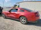 2012 FORD MUSTANG