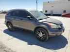 2010 HONDA CR-V