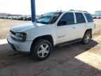 2004 CHEVROLET Trailblazer