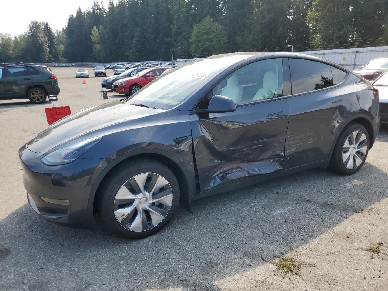 2024 TESLA MODEL Y