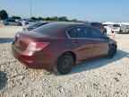 2010 HONDA ACCORD