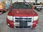 2008 FORD ESCAPE