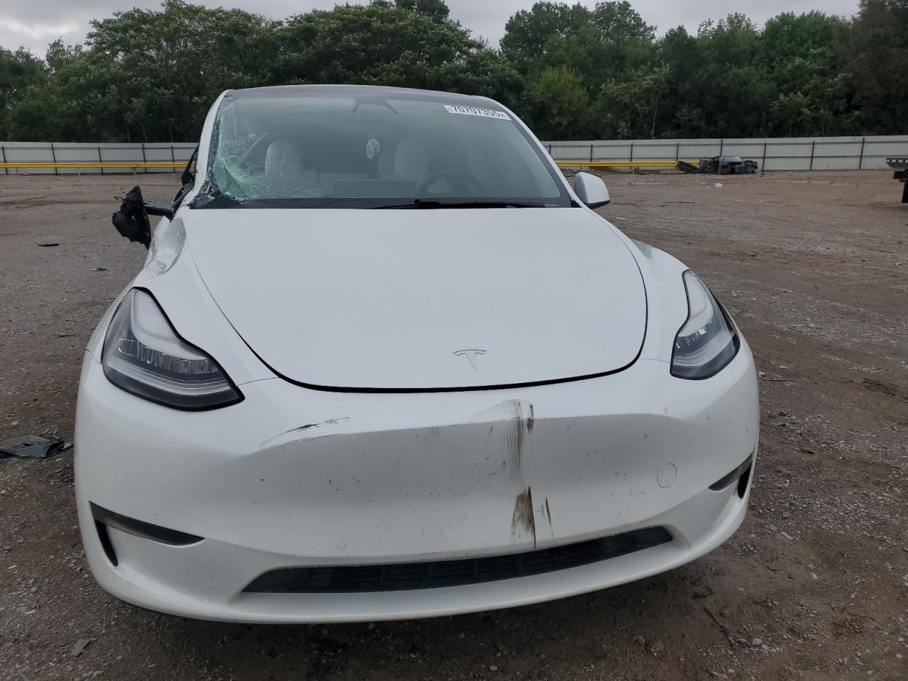 2020 TESLA MODEL Y