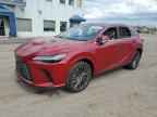 2025 LEXUS Rx