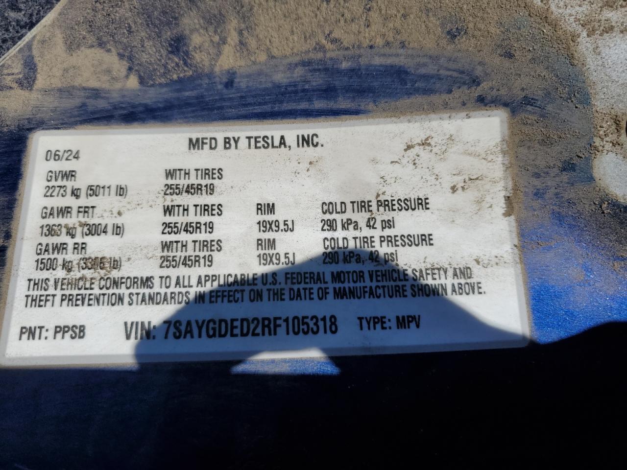 2024 TESLA MODEL Y