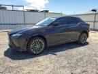 2023 LEXUS Rz