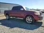 2006 TOYOTA TUNDRA