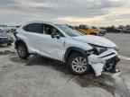 2020 LEXUS Nx