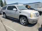 2007 CADILLAC Escalade ESV