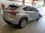 2020 LEXUS Nx