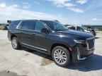 2022 CADILLAC ESCALADE