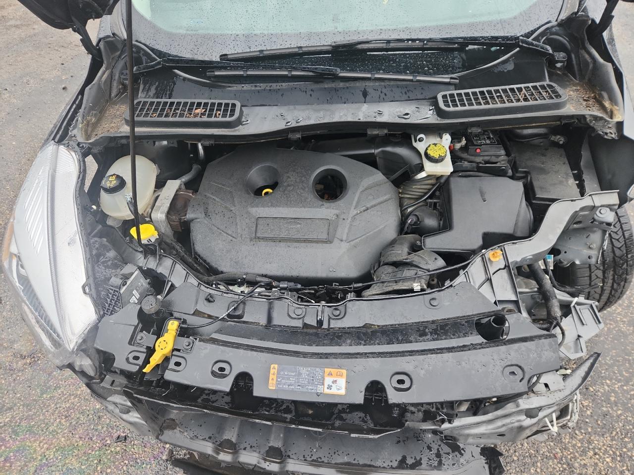 2019 FORD ESCAPE