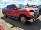 2009 FORD F-150