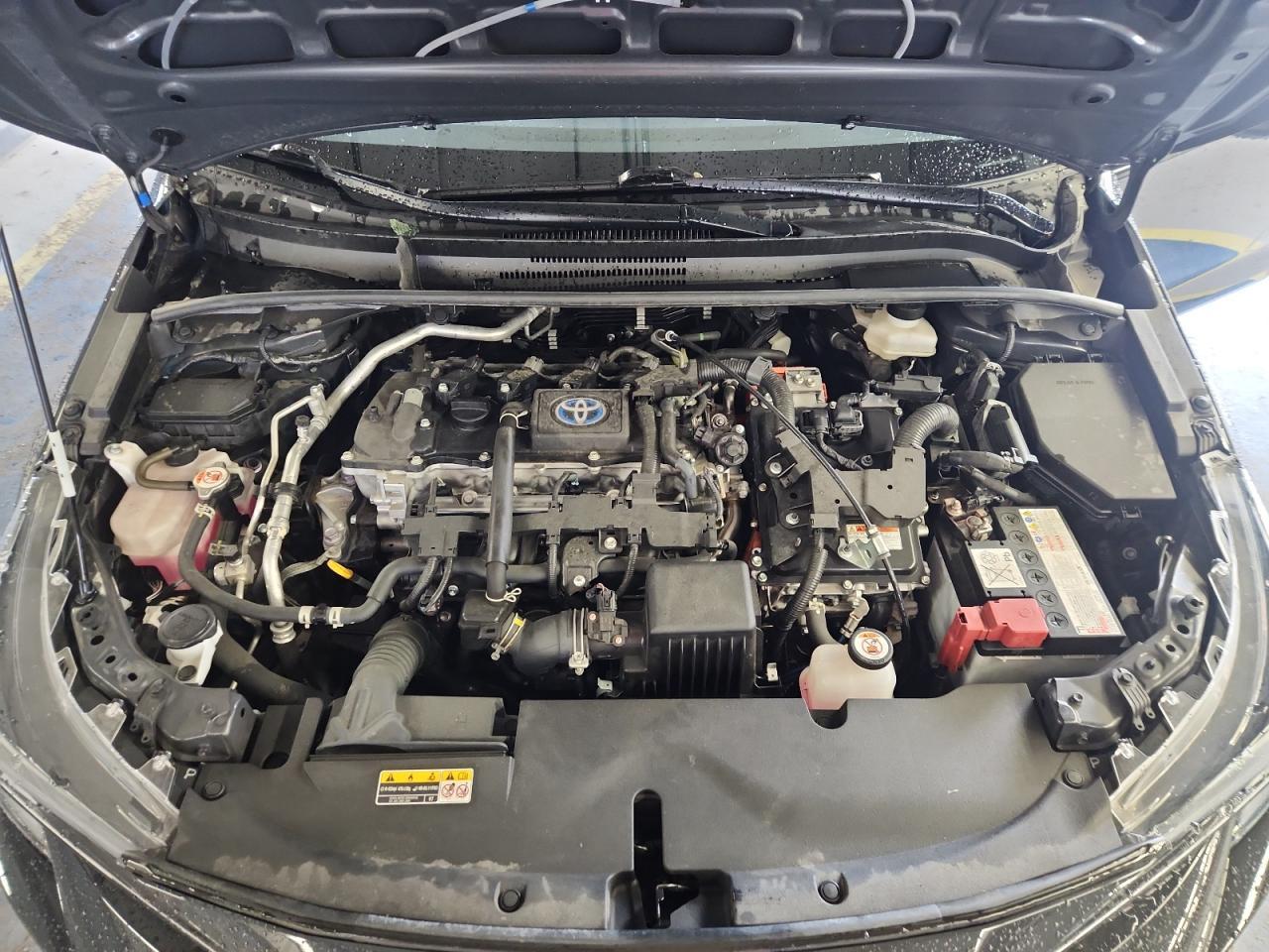 2023 TOYOTA COROLLA