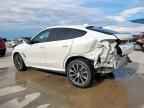 2023 BMW X6