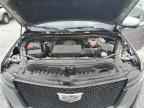 2024 CADILLAC ESCALADE