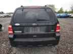 2010 FORD ESCAPE