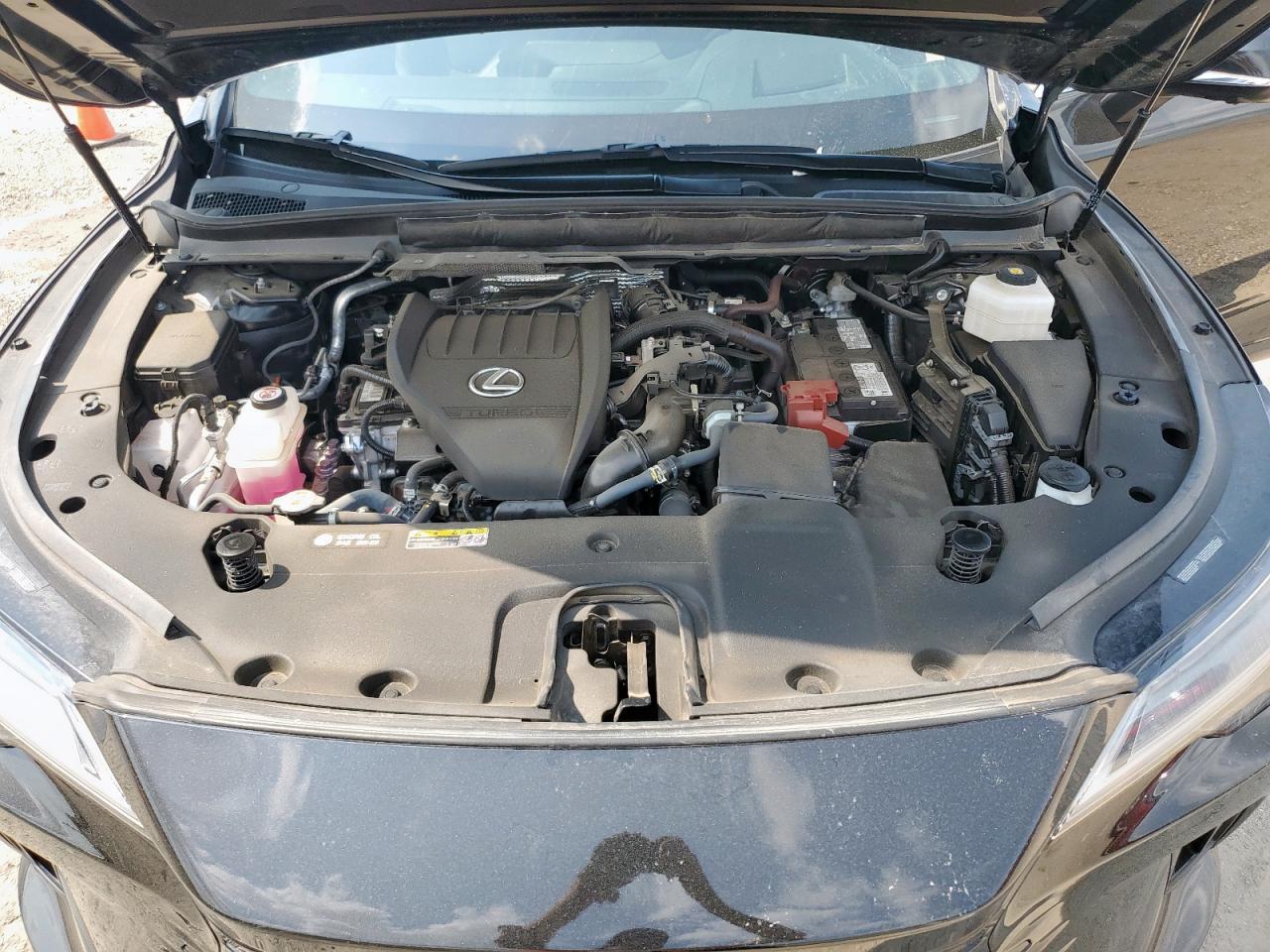 2024 LEXUS Rx