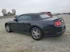 2010 FORD MUSTANG