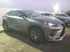 2019 LEXUS Nx