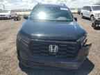 2024 HONDA PILOT