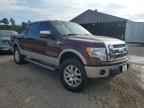 2010 BENTLEY F150