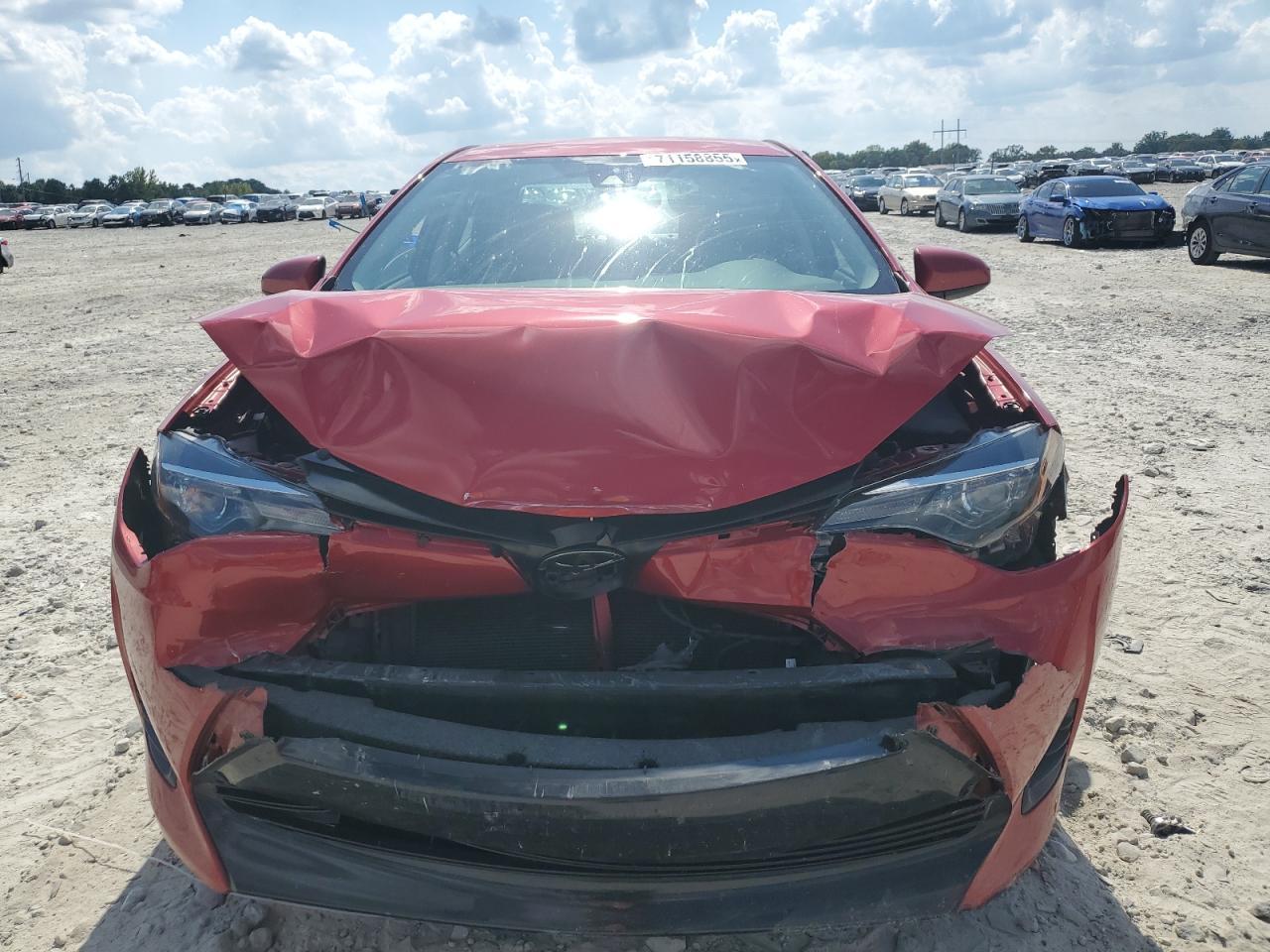2019 TOYOTA COROLLA