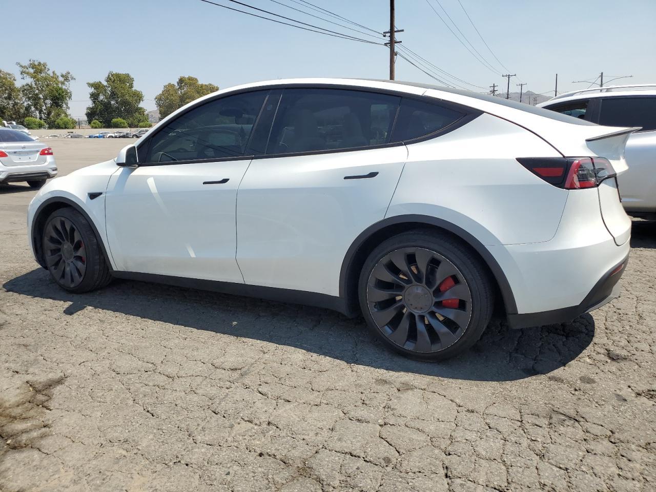 2024 TESLA MODEL Y